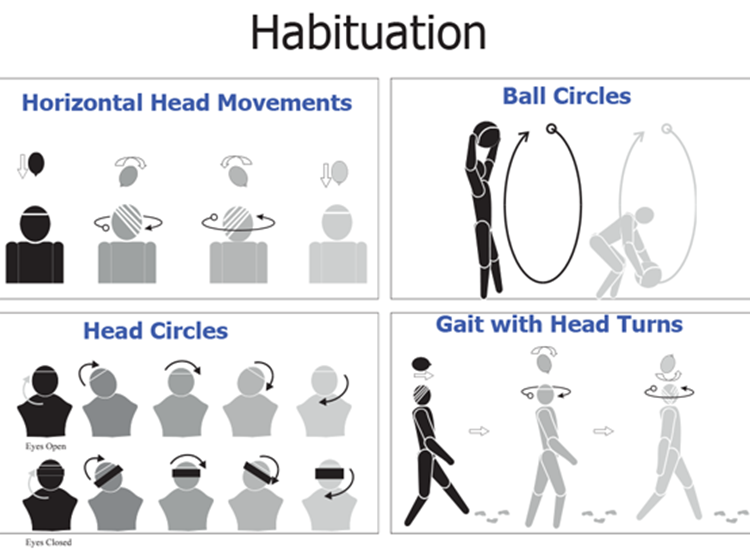 Vestibular Exercises Patient Handout Vestibular Therapy Moon