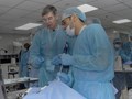 TSESI (Tarabichi-Stammberger Ear and Sinus Institute) Hands-on Cadaver Dissection and Live Surgery Course (Apr19)