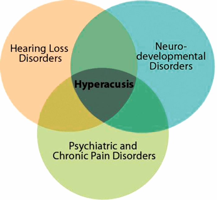 Physiological mechanisms of hyperacusis an update ENT & Audiology News