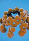 Photo showing sugammadex.