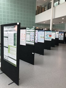 Poster Presentation boards