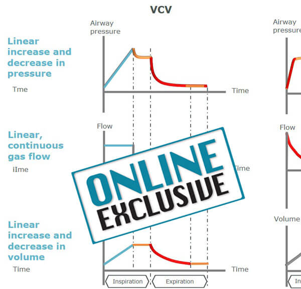 VCV graph with Online Exclusive stamp