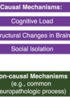 An illustrative model of proposed causal and non-causal mechanisms  underlying the association between ARHL and dementia.