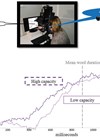 Diagram showing a description of the eye-tracking paradigm used to gauge speech processing as the word unfolds in time.