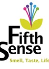 Fifth Sense logo.