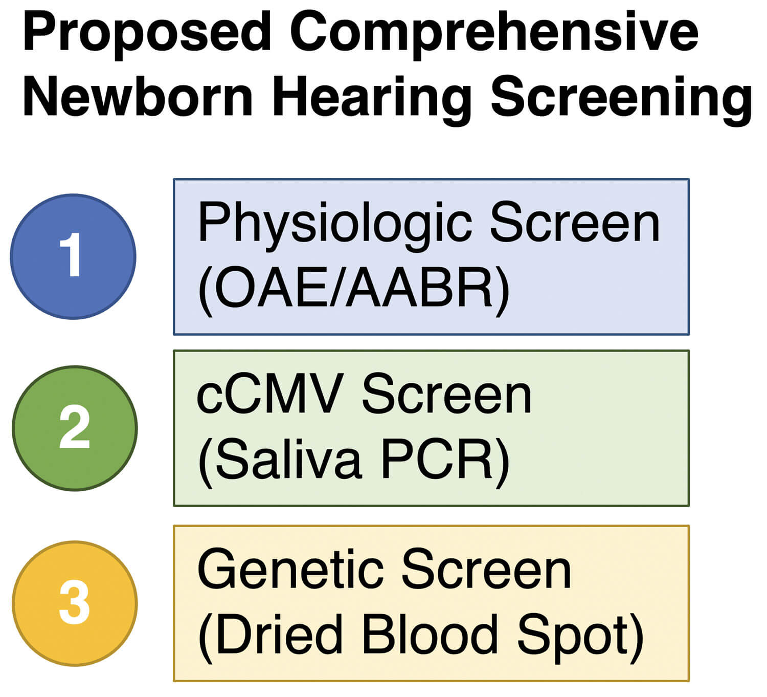 Graphic showing proposed comprehensive newborn hearing screening.