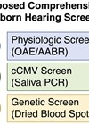 Graphic showing proposed comprehensive newborn hearing screening.