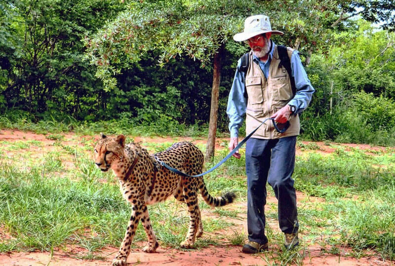 Photo of James Robinson with cheetah.