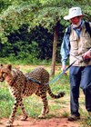 Photo of James Robinson with cheetah.