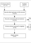 Search strategy flowchart image.