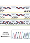 Diagram depicting the pipeline of next generation sequencing-based genetic testing in hearing loss diagnosis.