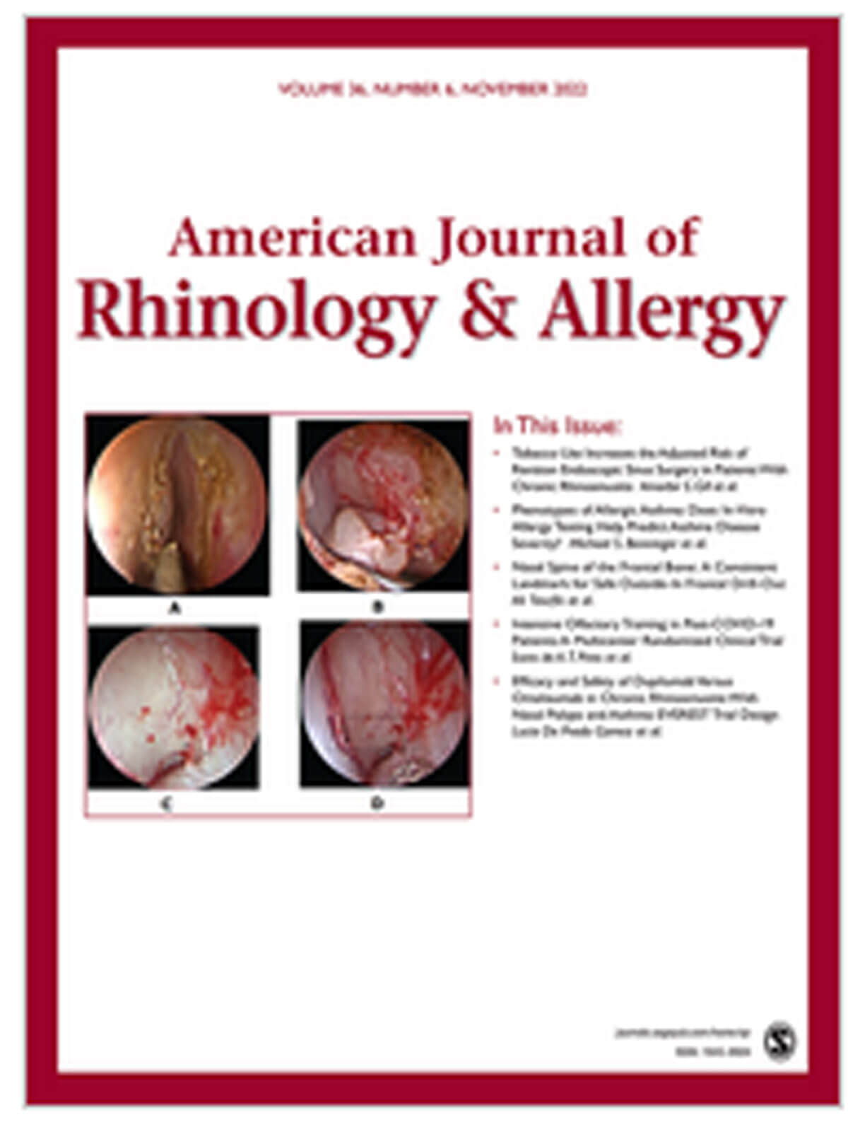 American Journal of Rhinology & Allergy cover image.