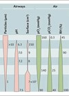 Diagram demonstrating microenvironment and microbiota.