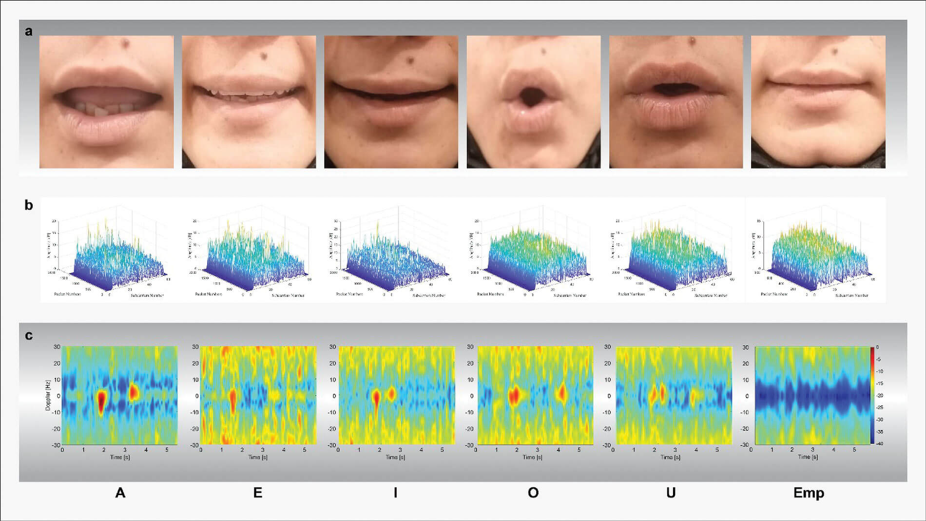 Visualisation of RF-based lip-reading results. 