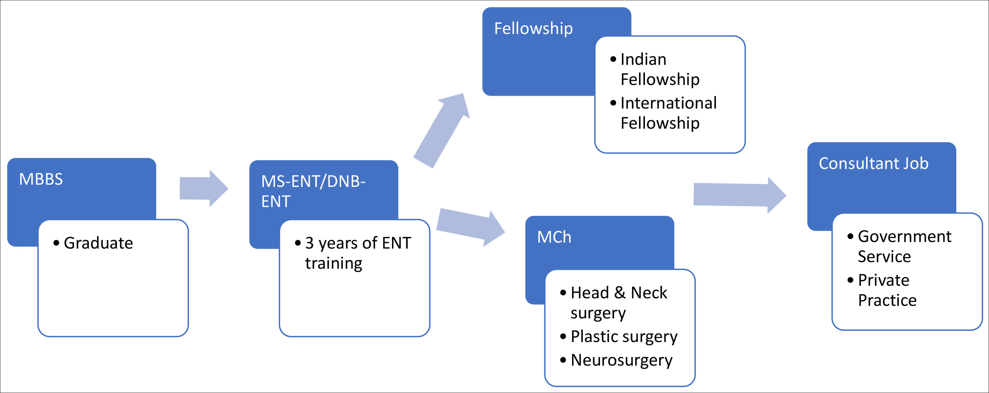 Graphic showing ENT Career Pathway India.