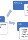 Graphic showing ENT Career Pathway India. 