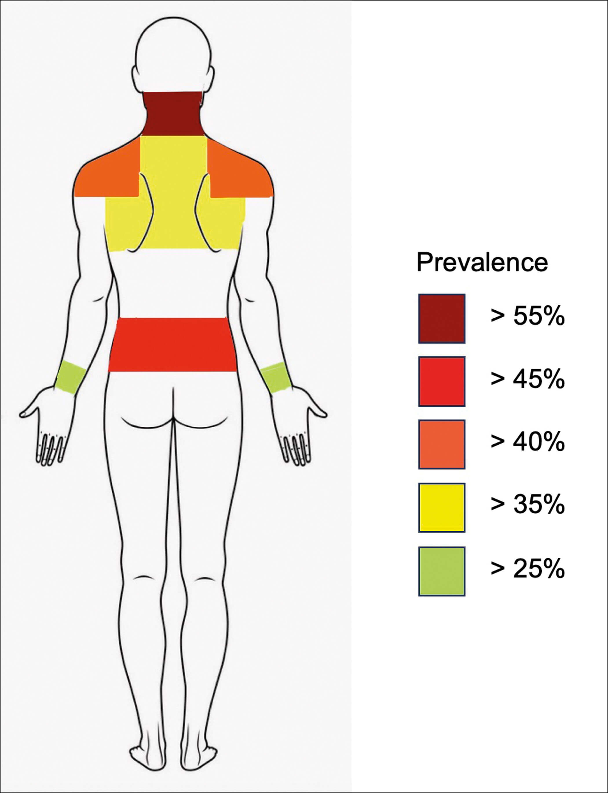 Image showing body map of WRMSDs prevalence by body area in otorhinolaryngologists. 
