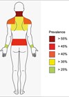 Image showing body map of WRMSDs prevalence by body area in otorhinolaryngologists.