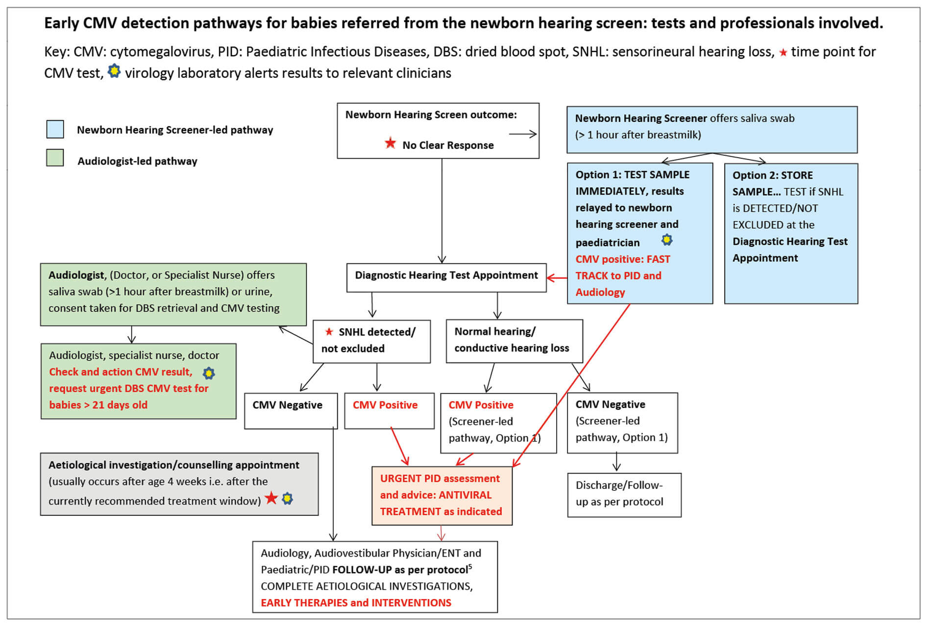 Illustration showing early CMV detection pathways fiir babies referred from the newborn hearing screen.