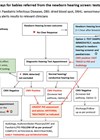 Illustration showing early CMV detection pathways fiir babies referred from the newborn hearing screen.