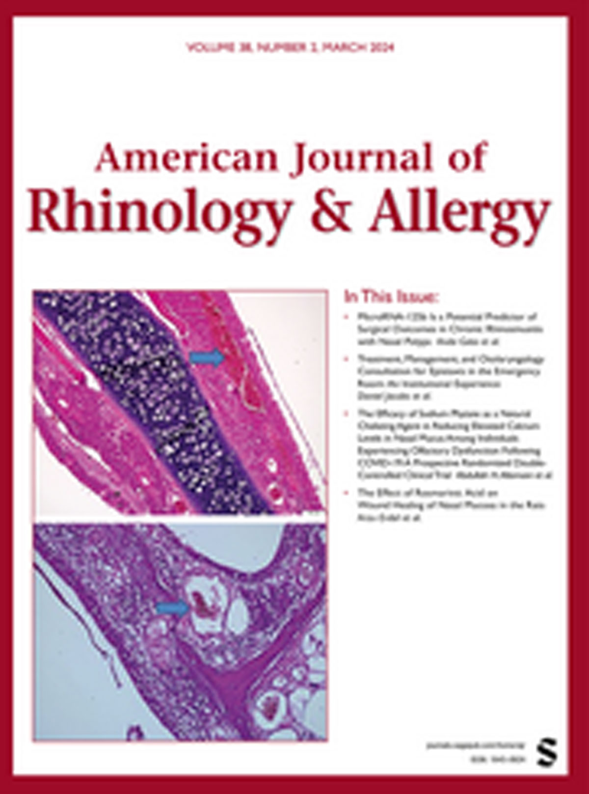American Journal of Rhinology & Allergy cover image.