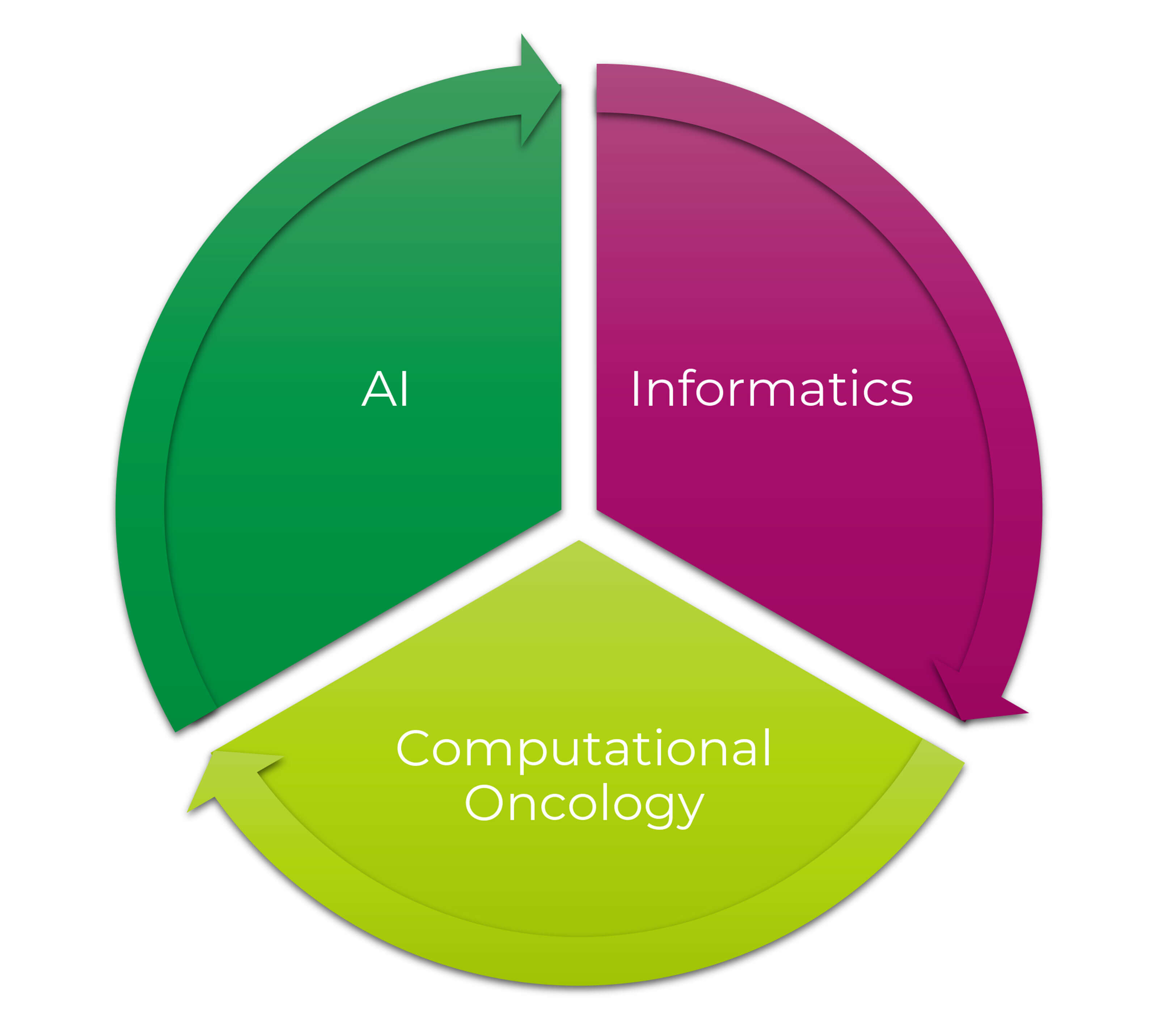 Flowchart showing interaction between AI and head and neck cancer care information. 