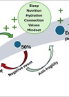 Image showing isual representation of the spectrum of performance and their factors.