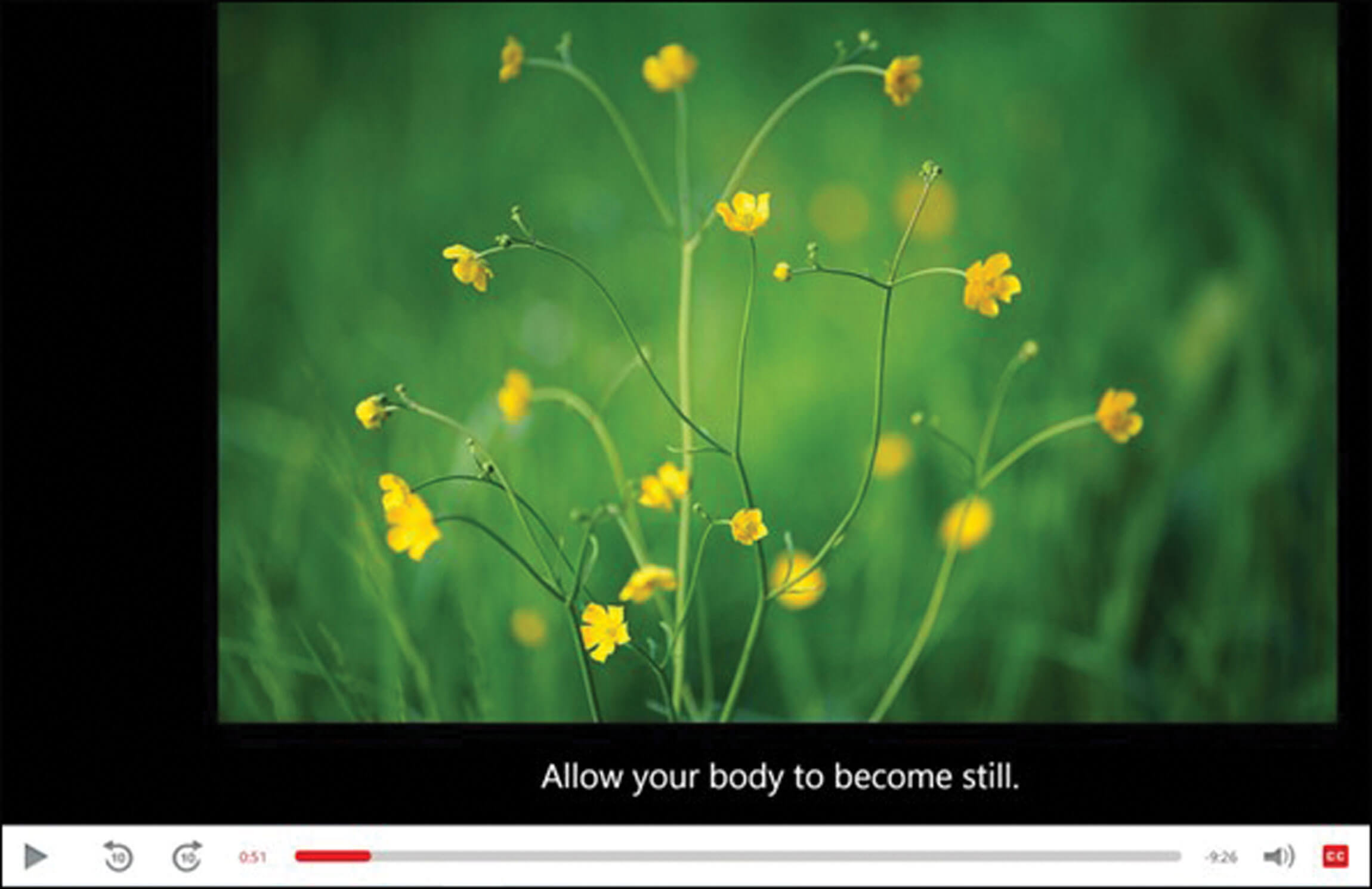 Image of screengrab - Illustrating visual accessibility/imagery of mindful resources.