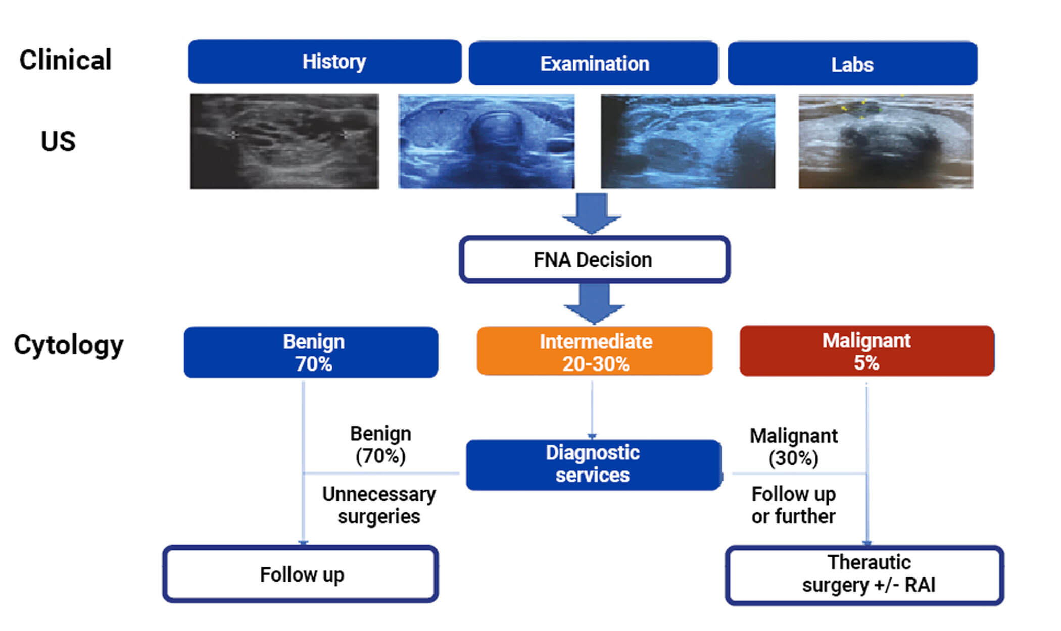 Diagram showing the decision-making scheme depending on the current standard of care method for the evaluation of thyroid nodules. 