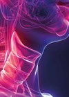 Illustration showing structure of human throat.