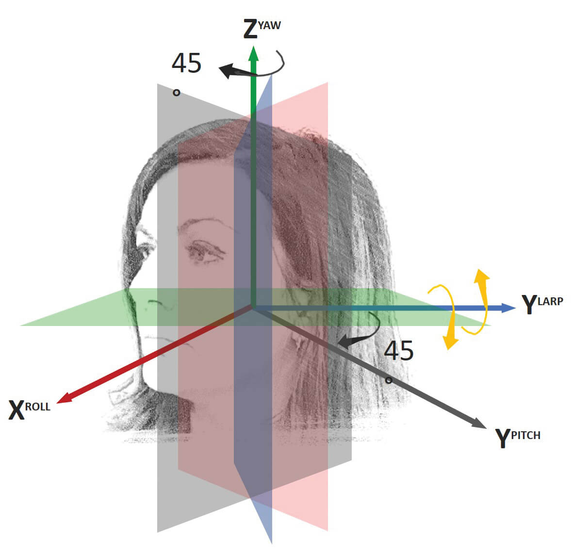 Schematic overview of head rotation. 