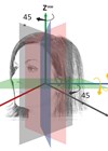 Schematic overview of head rotation.