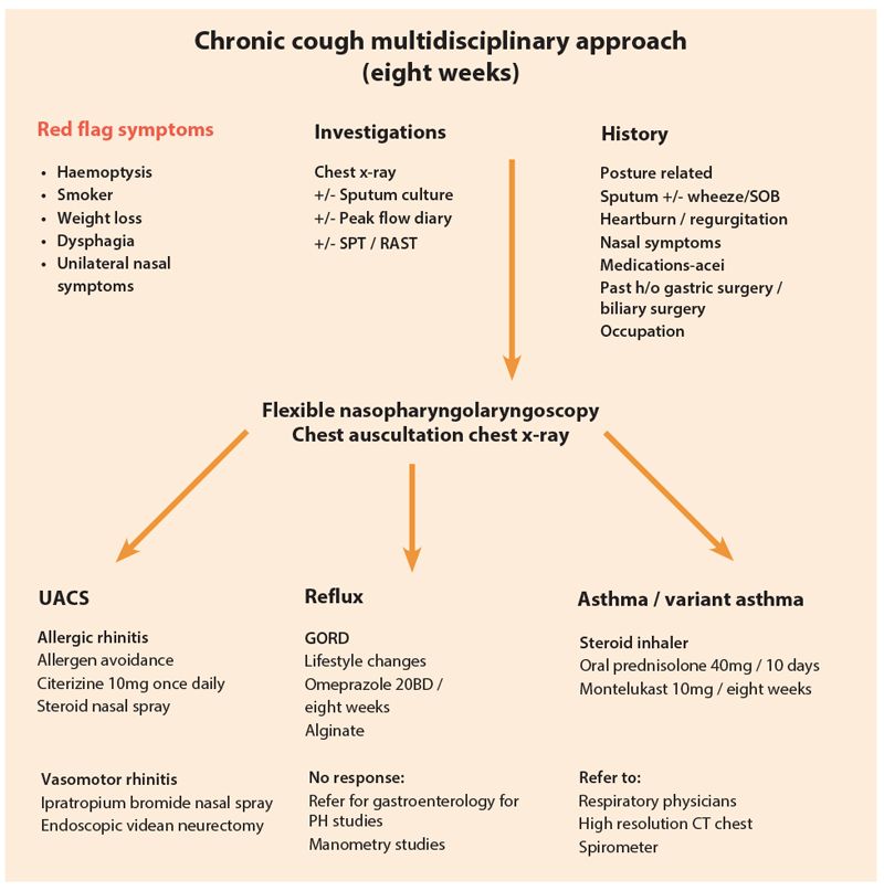 Cough Diagnosis Chart