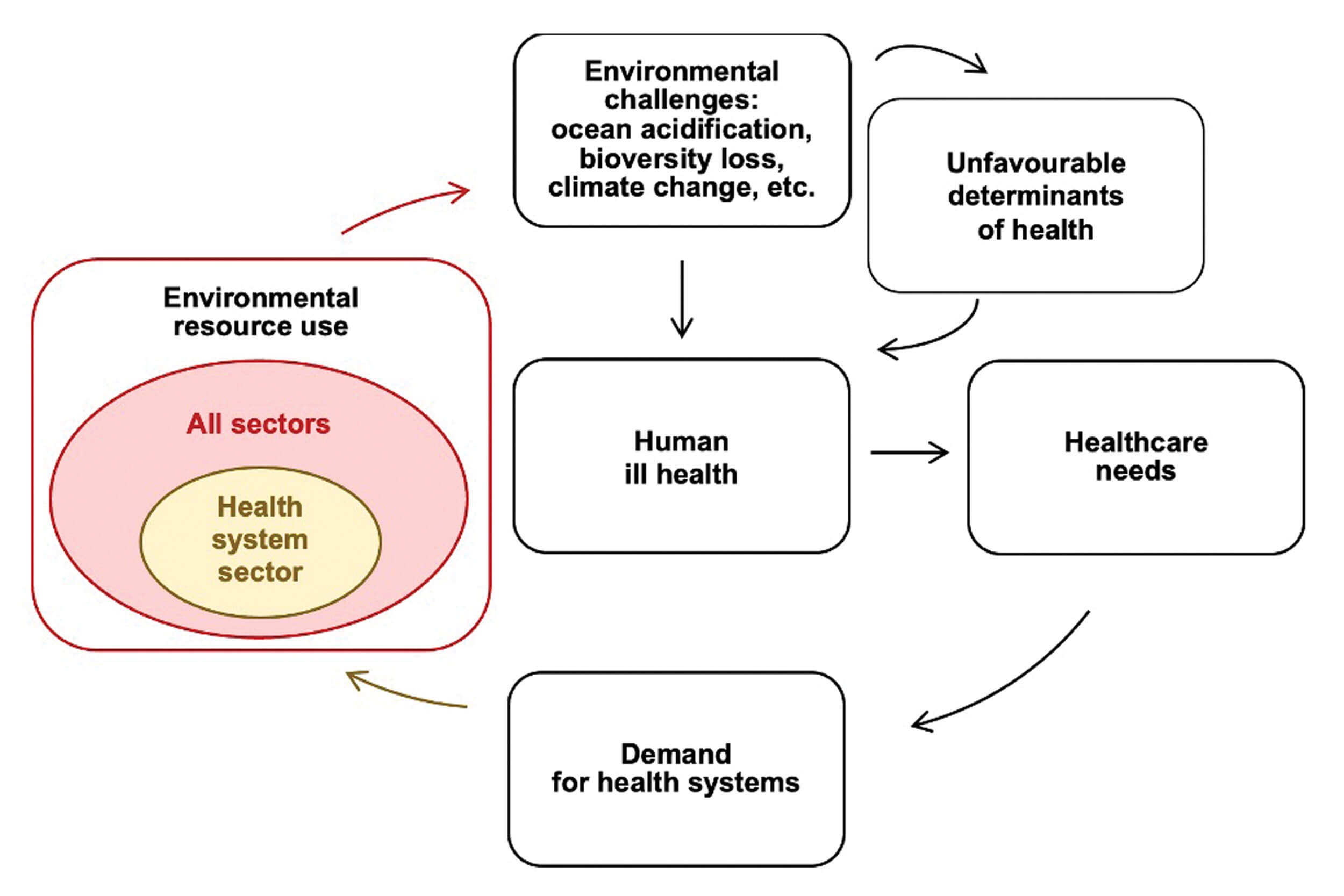 Diagram showing the feedback loop of environmental resources and health.