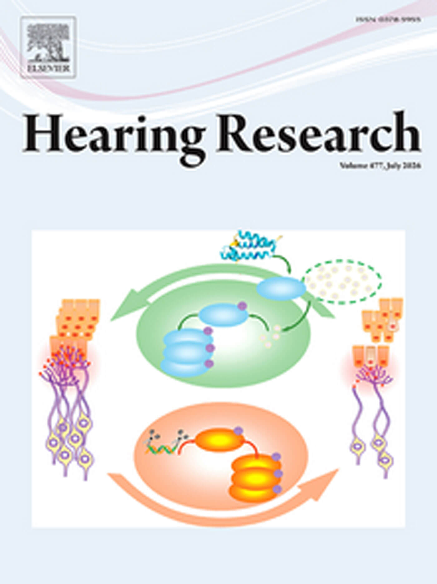 Hearing Research journal cover image.