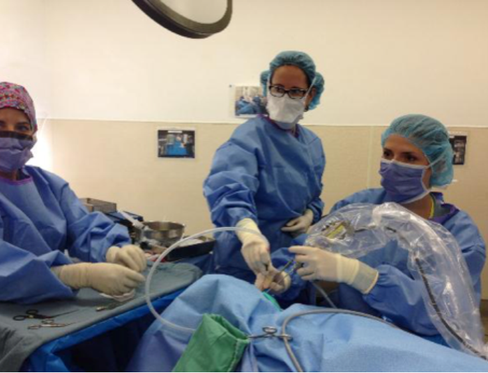 General overview of endoscopic ear surgery advantages and principles