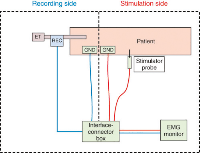 Intraoperative Nerve Monitoring 2017 Ent Audiology News